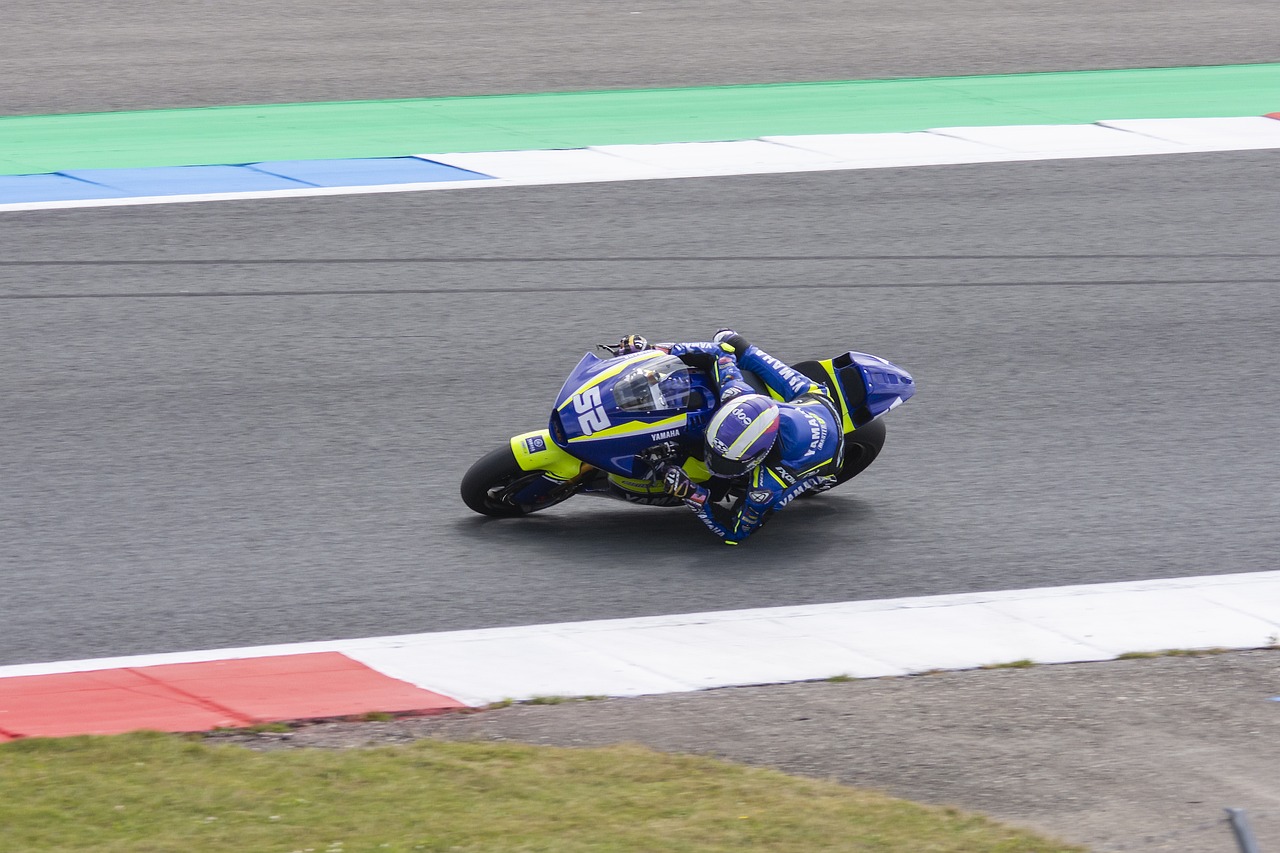 他们似乎仍 他们似乎仍