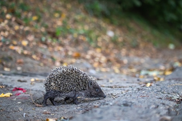 从个人兴趣 从个人兴趣