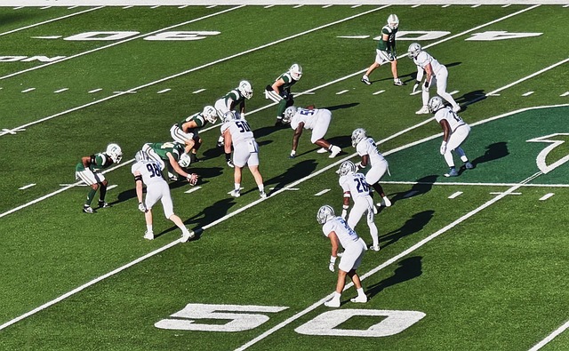 比赛的用户 比赛的用户